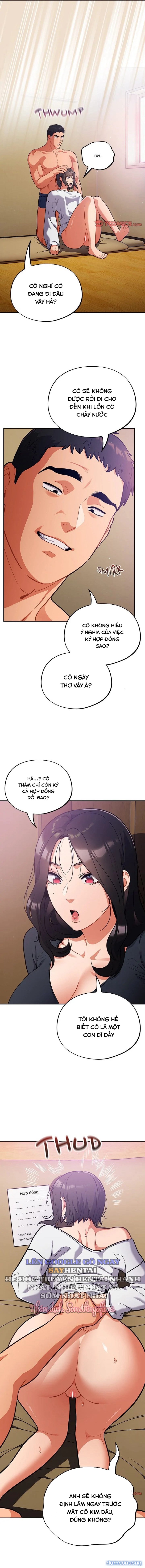 Vi Rút Ngu Ngốc 