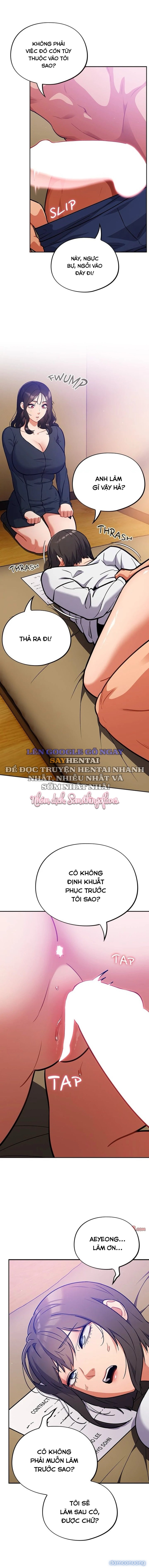 Vi Rút Ngu Ngốc 