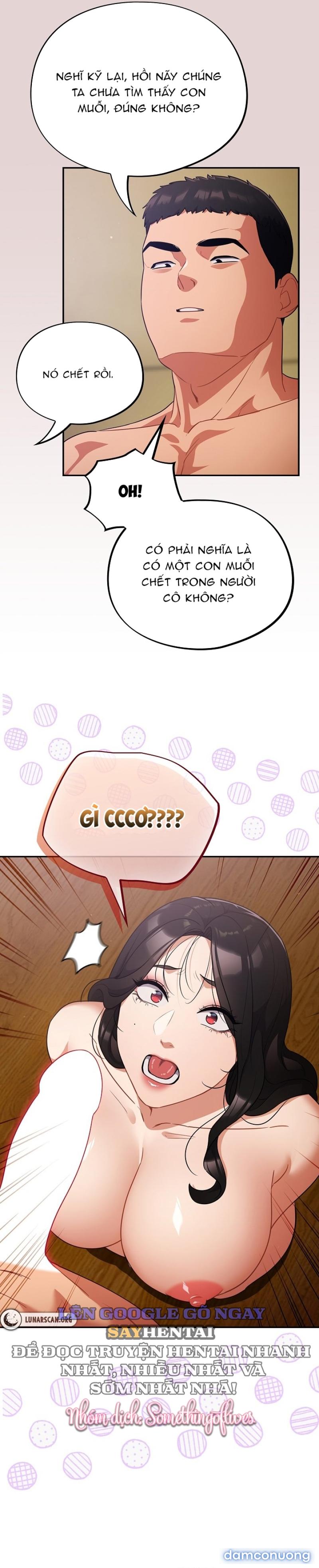 Vi Rút Ngu Ngốc 