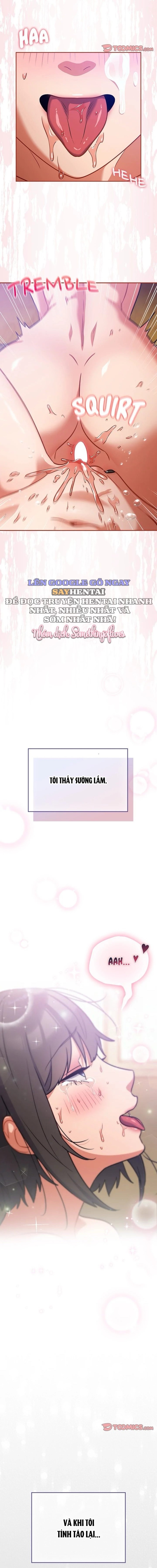 Vi Rút Ngu Ngốc 