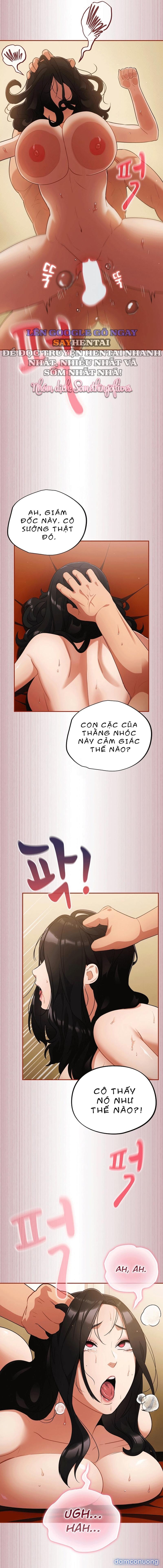 Vi Rút Ngu Ngốc 