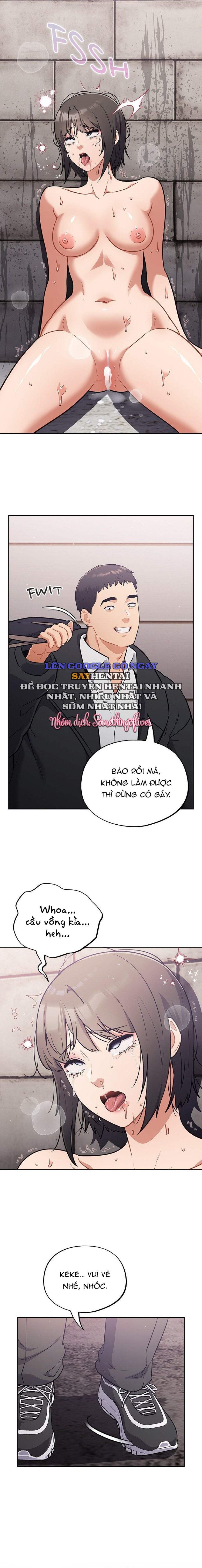 Vi Rút Ngu Ngốc 