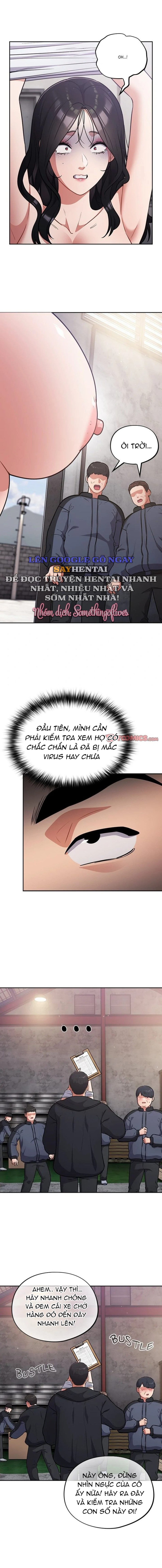 Vi Rút Ngu Ngốc 