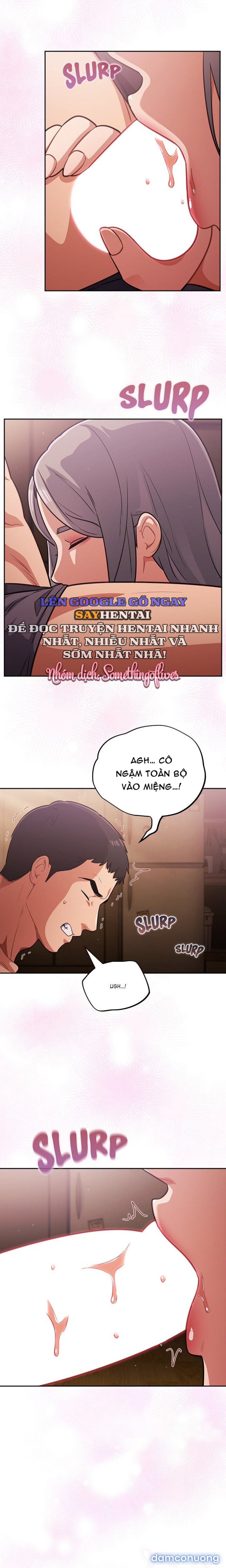 Vi Rút Ngu Ngốc 
