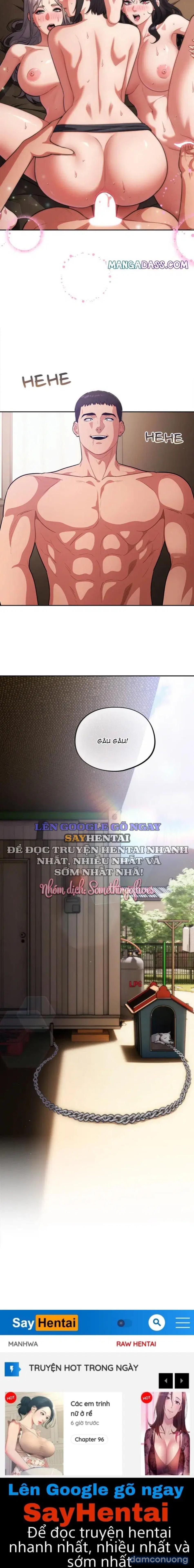 Vi Rút Ngu Ngốc 