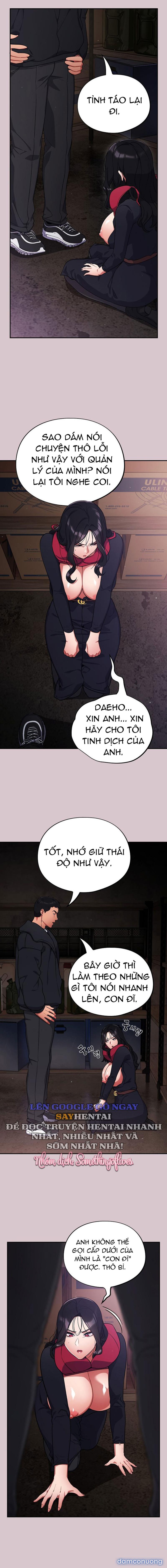 Vi Rút Ngu Ngốc 