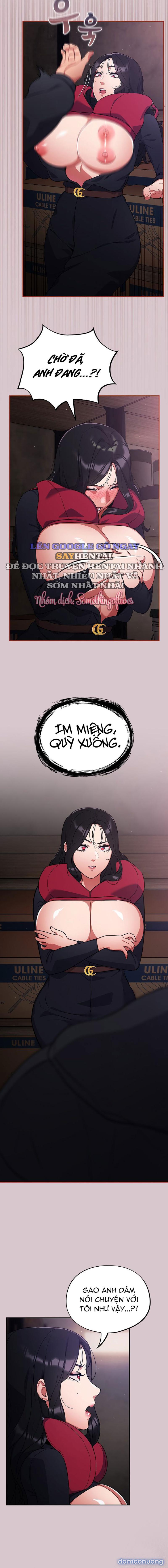 Vi Rút Ngu Ngốc 