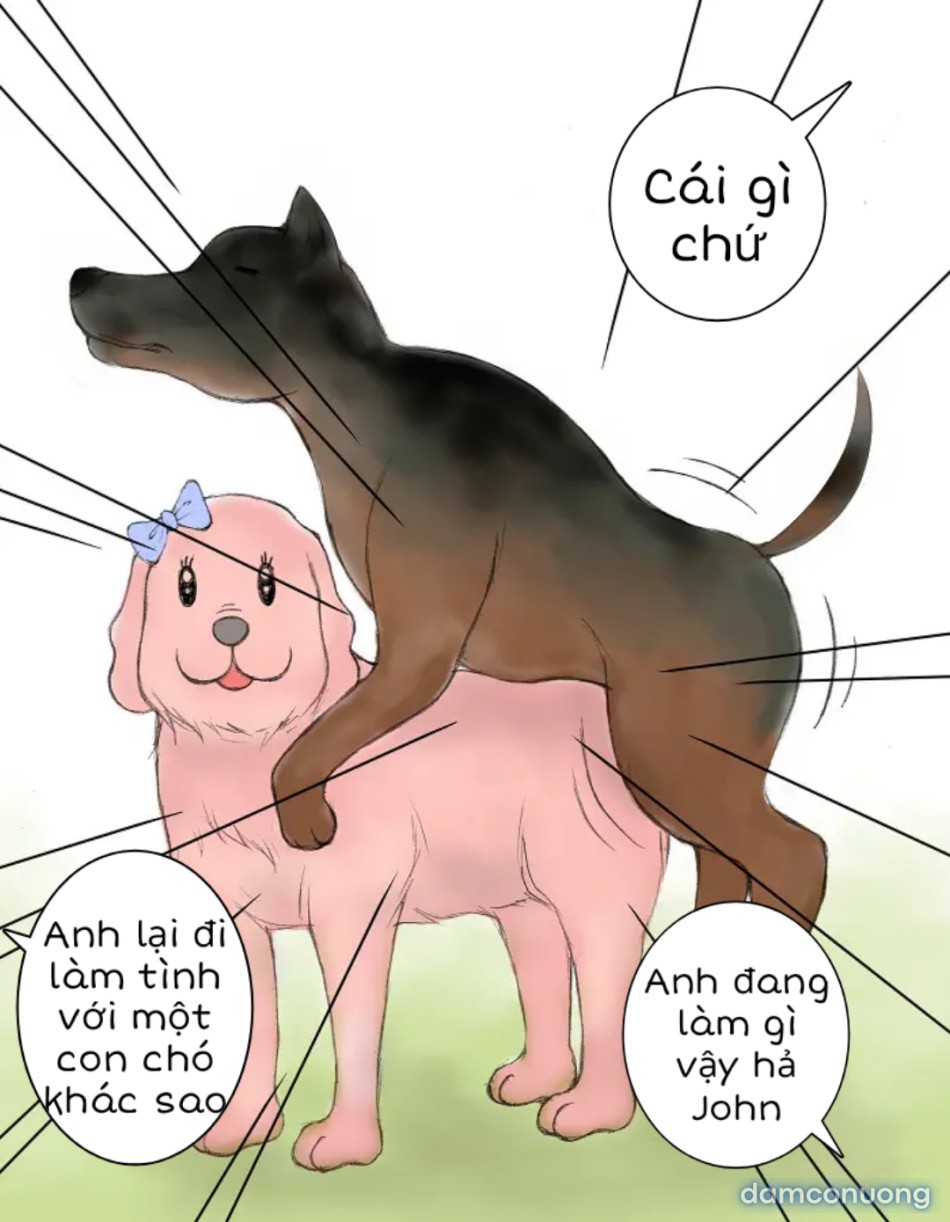 Bạn trai tôi là một chú chó 