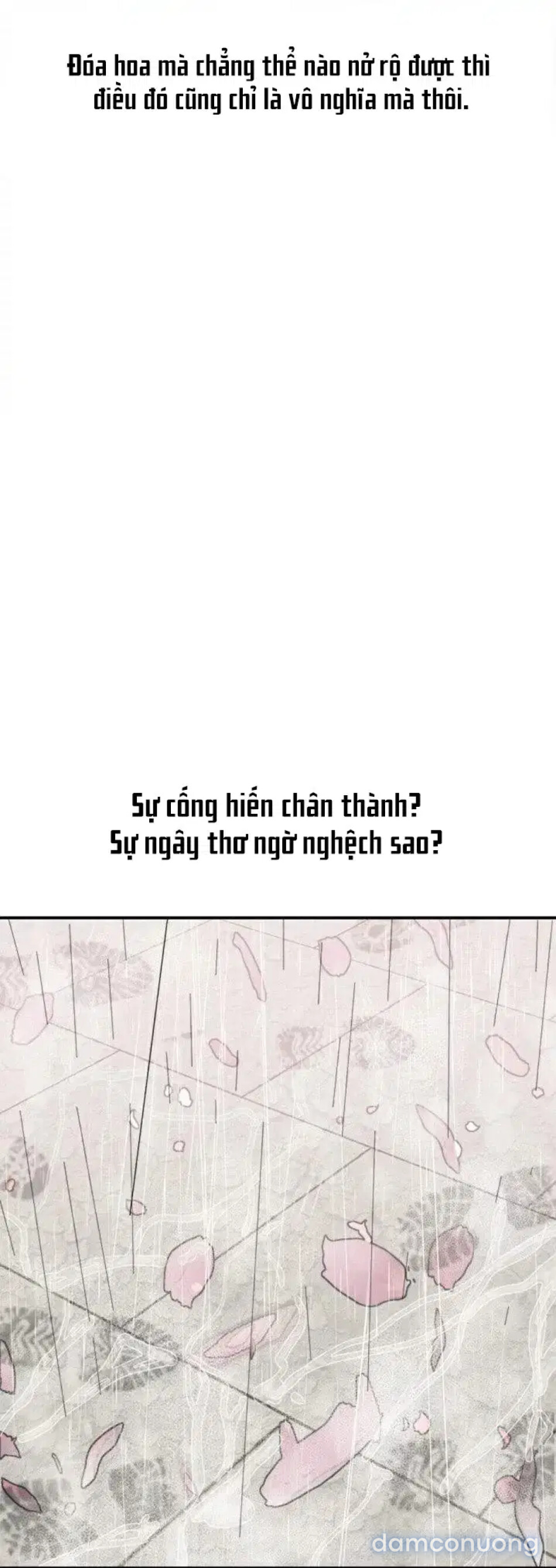 Quý cô vừa đẹp vừa dâm 