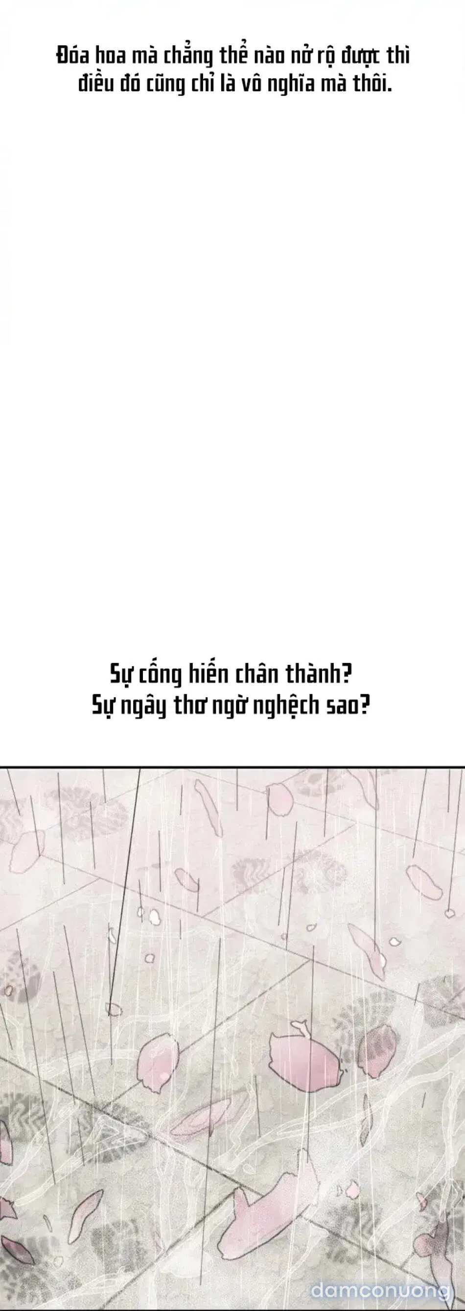 Quý cô vừa đẹp vừa dâm 