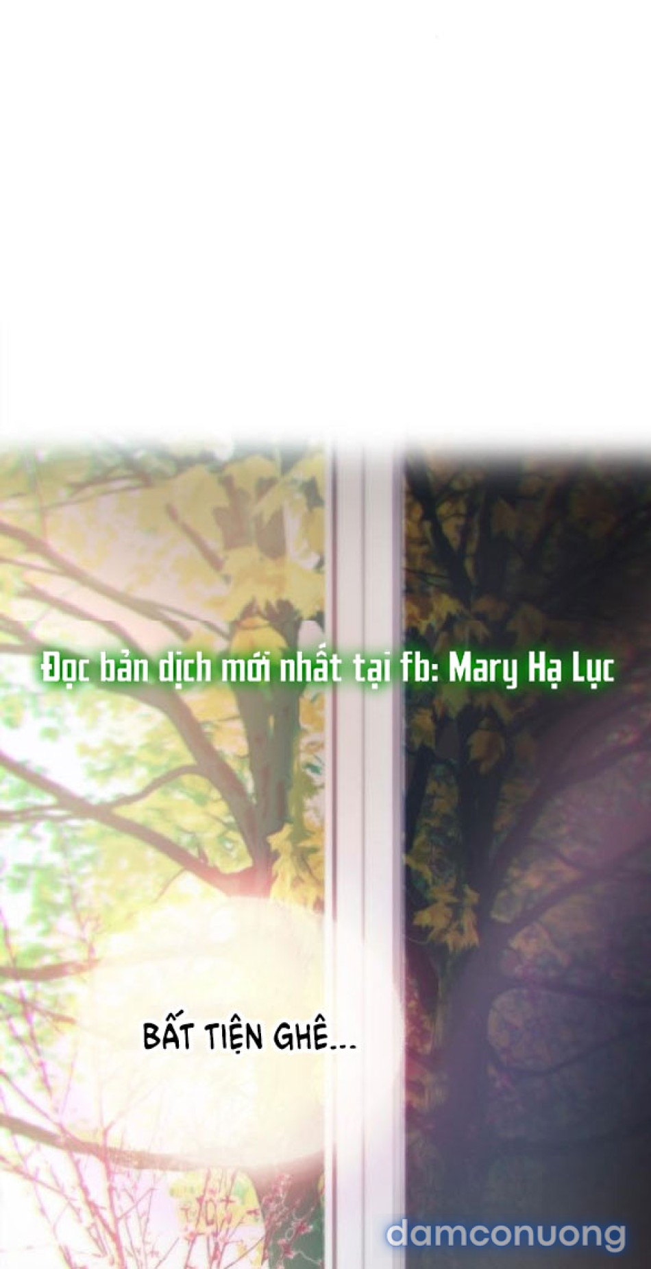 Tôi Bị Mắc Kẹt Trong Một Vở Kịch điên Rồ 