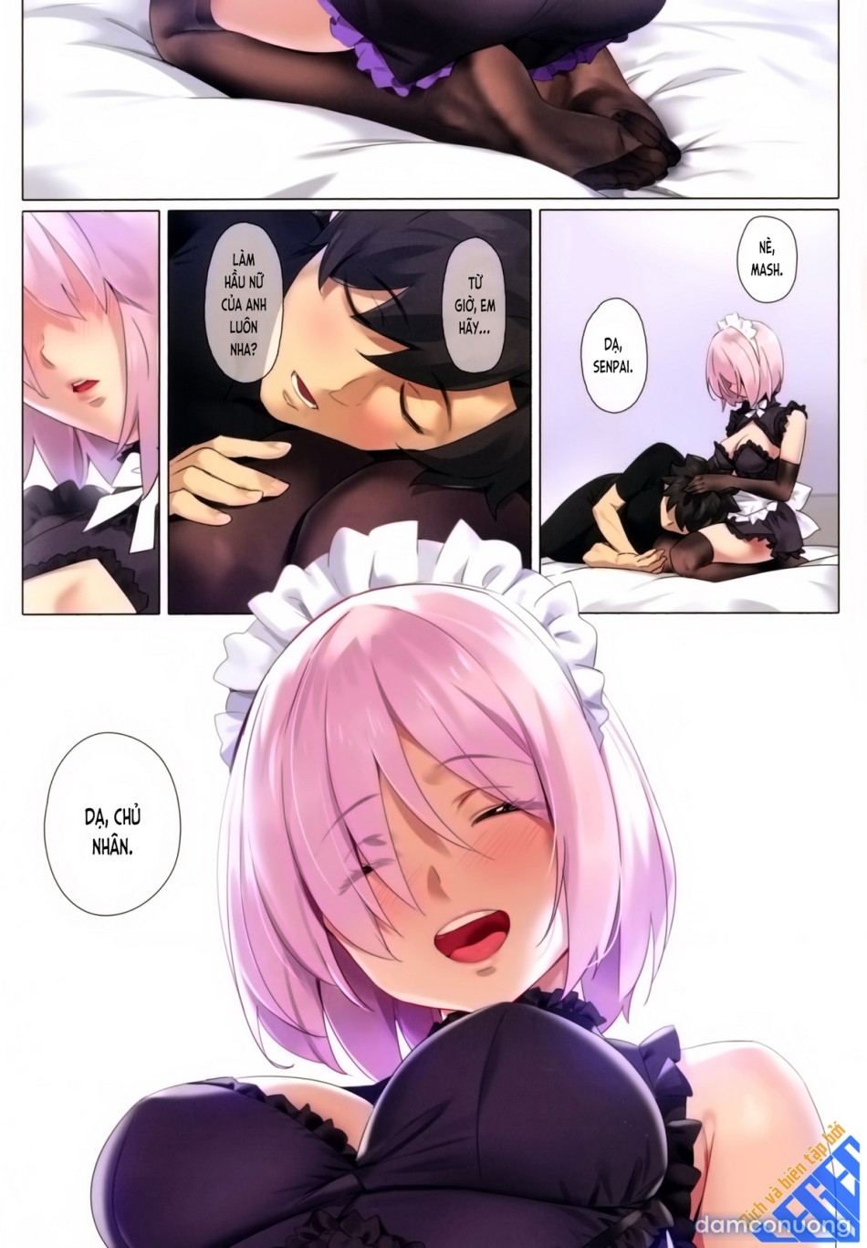 Chaldea Maid Mash (FGO) 