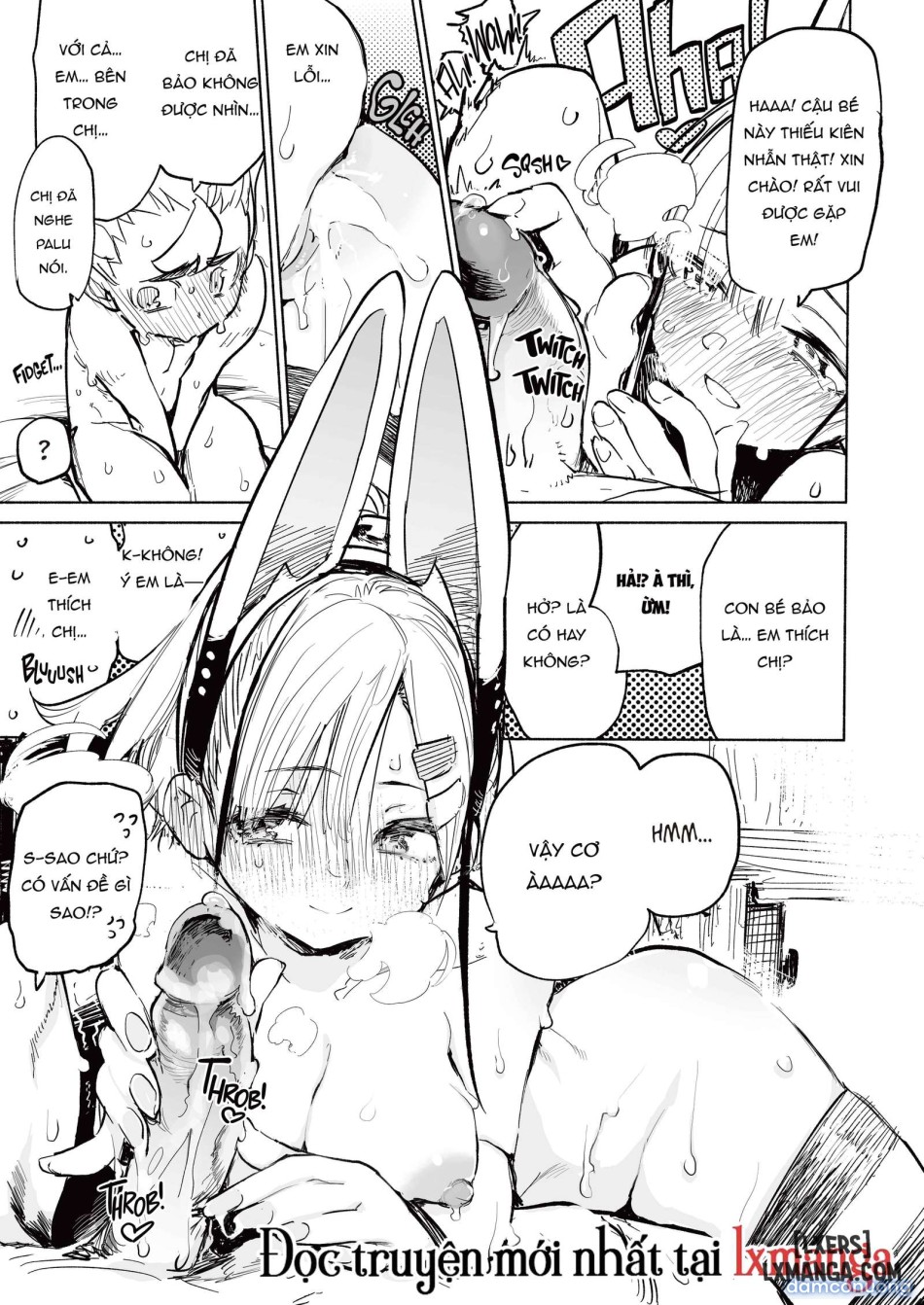 Tipsy Rabbit [English] [J18] 