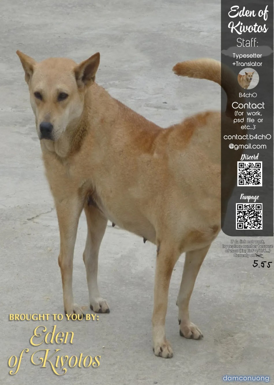 Người hùng của riêng tôi 