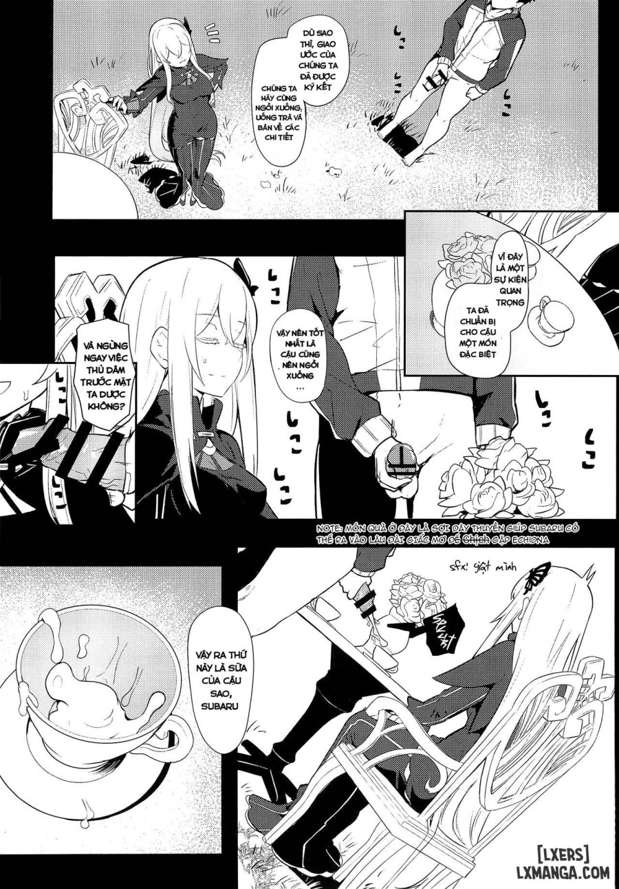 Echidna sukebebon I 
