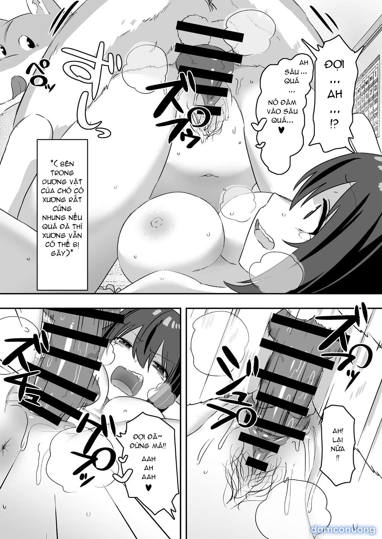 Shiofuki Koubi 