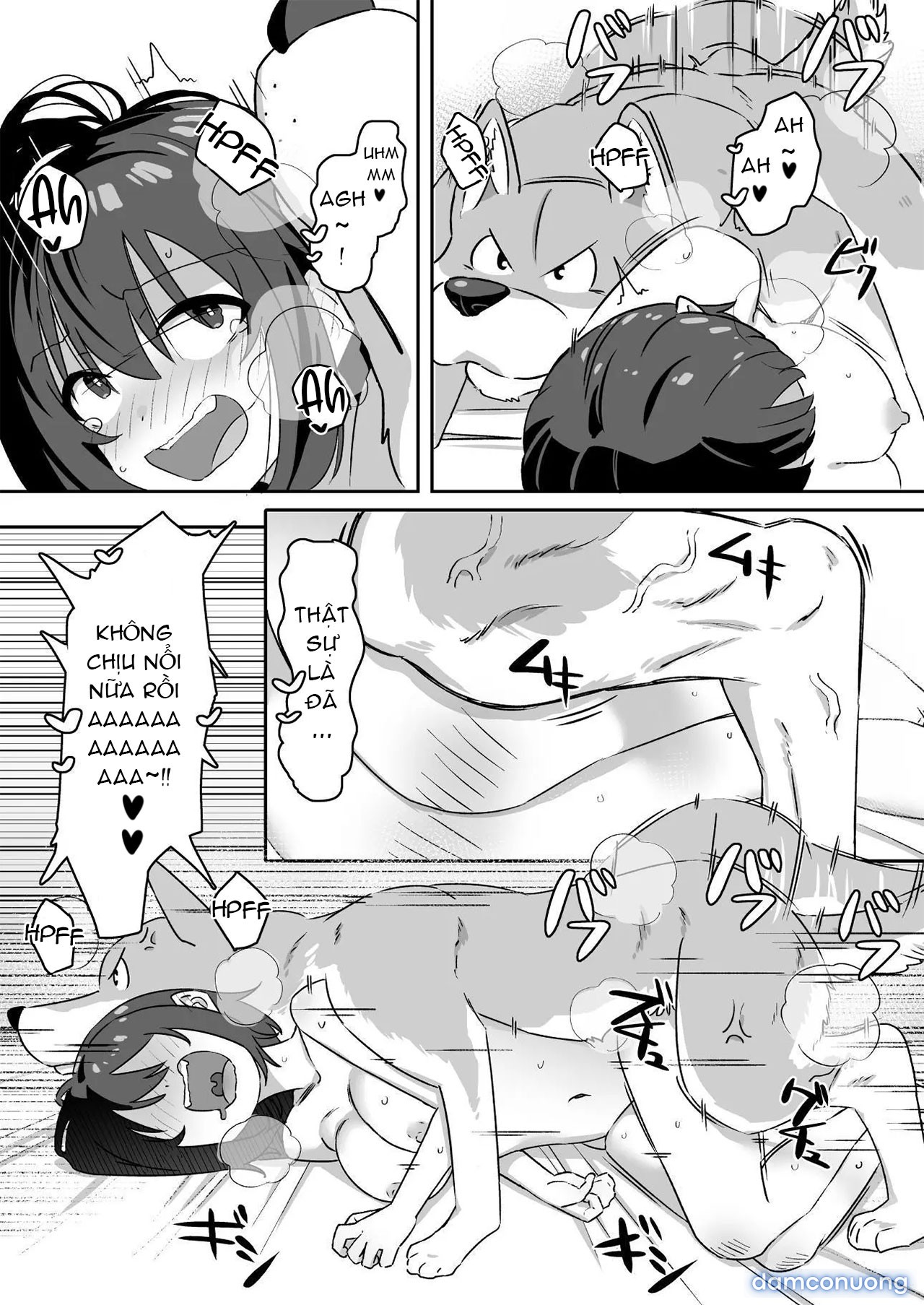 Shiofuki Koubi 