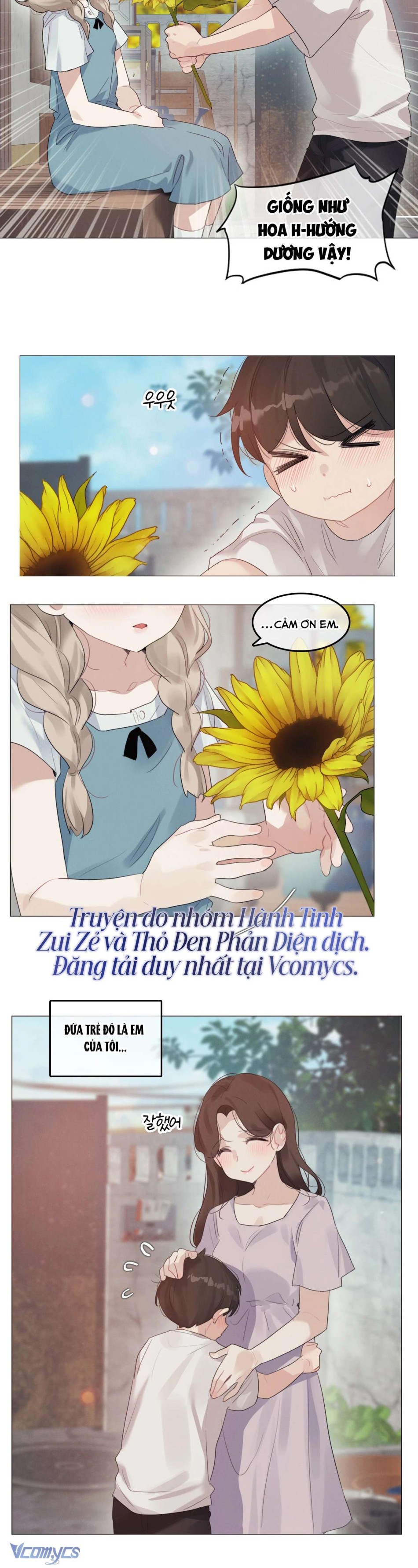 Vào Mùa Hoa Hướng Dương Khẽ Thì Thầm 