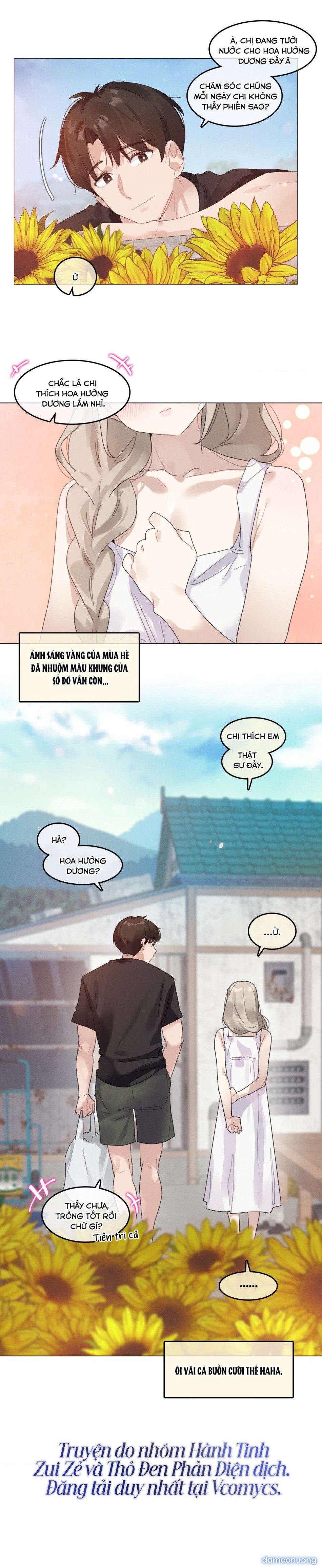 Vào Mùa Hoa Hướng Dương Khẽ Thì Thầm 