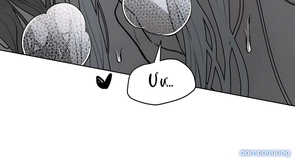 [18+] Đi Câu Cá Cũng Bắt Được Người Cá Sao? 
