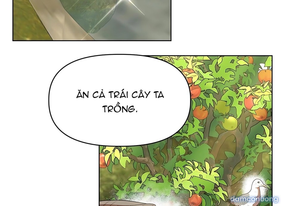 [18+] Đi Câu Cá Cũng Bắt Được Người Cá Sao? 