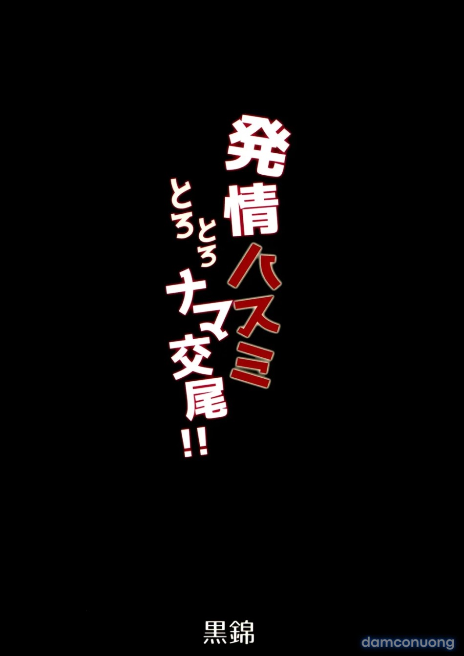 Hatsujou Hasumi Torotoro Nama Koubi 