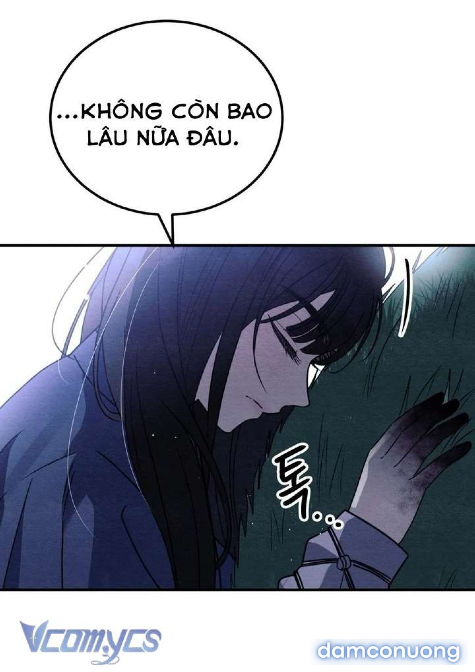 Hoa Lam Tinh 