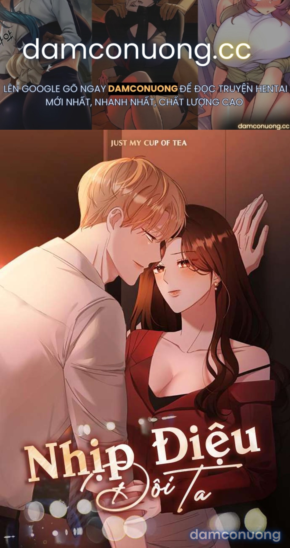 Nhịp Điệu Đôi Ta 
