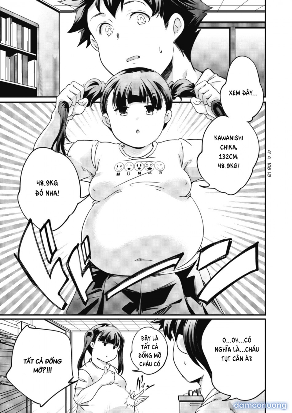Petit XL 