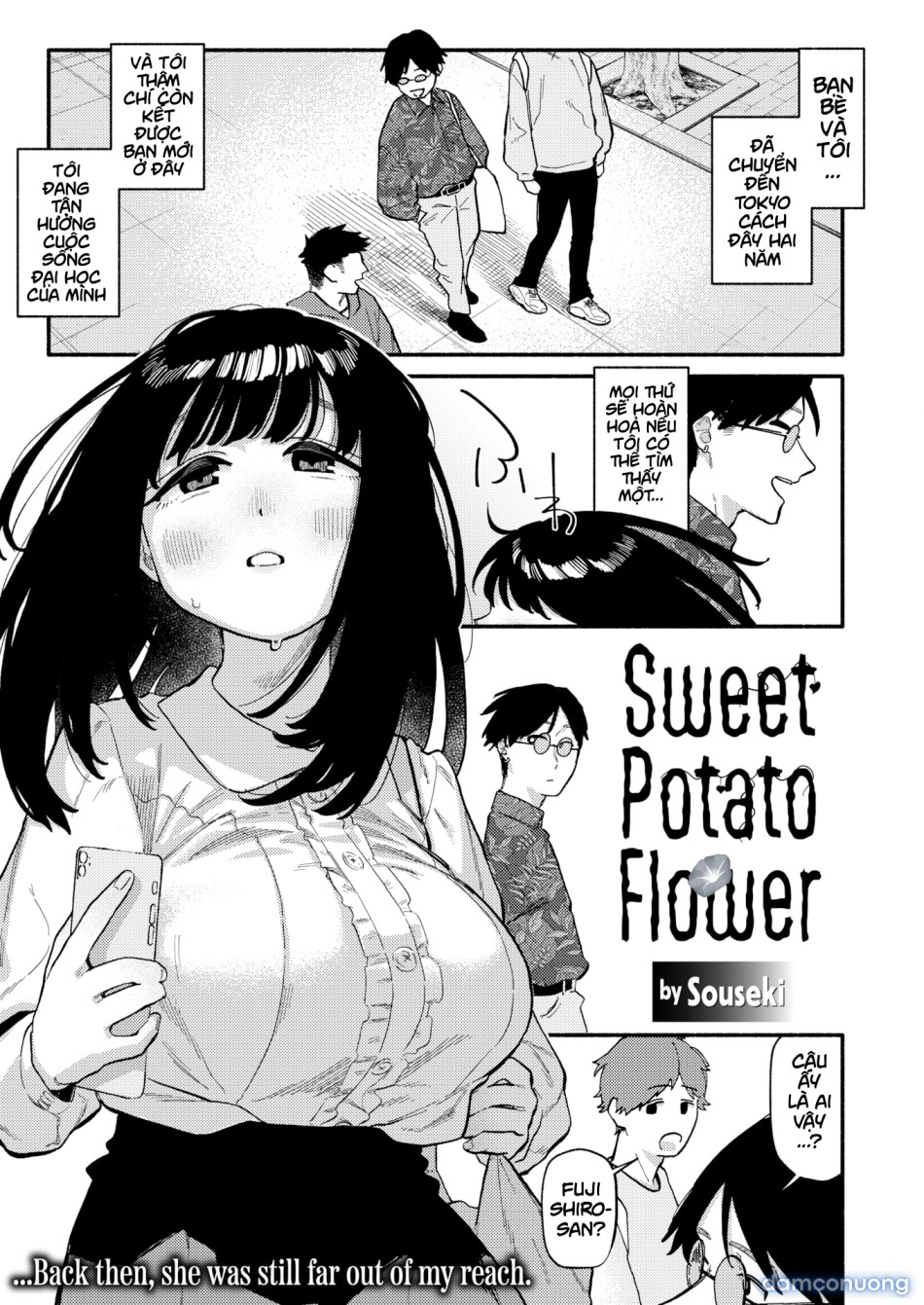 Sweet Potato Flower 