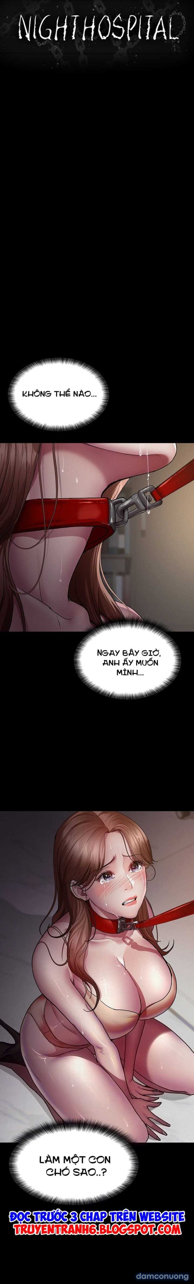Bệnh Viện Đêm 