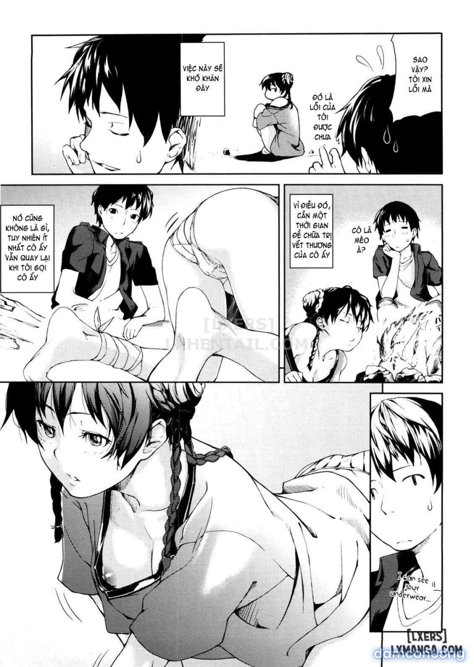 Koimitsu Fragrancee 