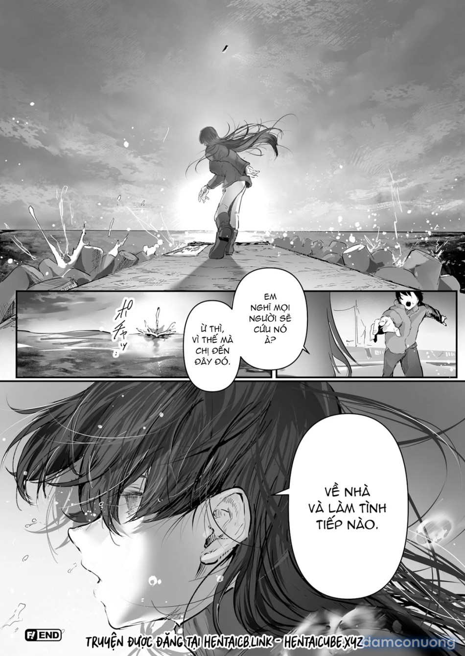 Nơi cỏ ba lá trắng ngủ yên 