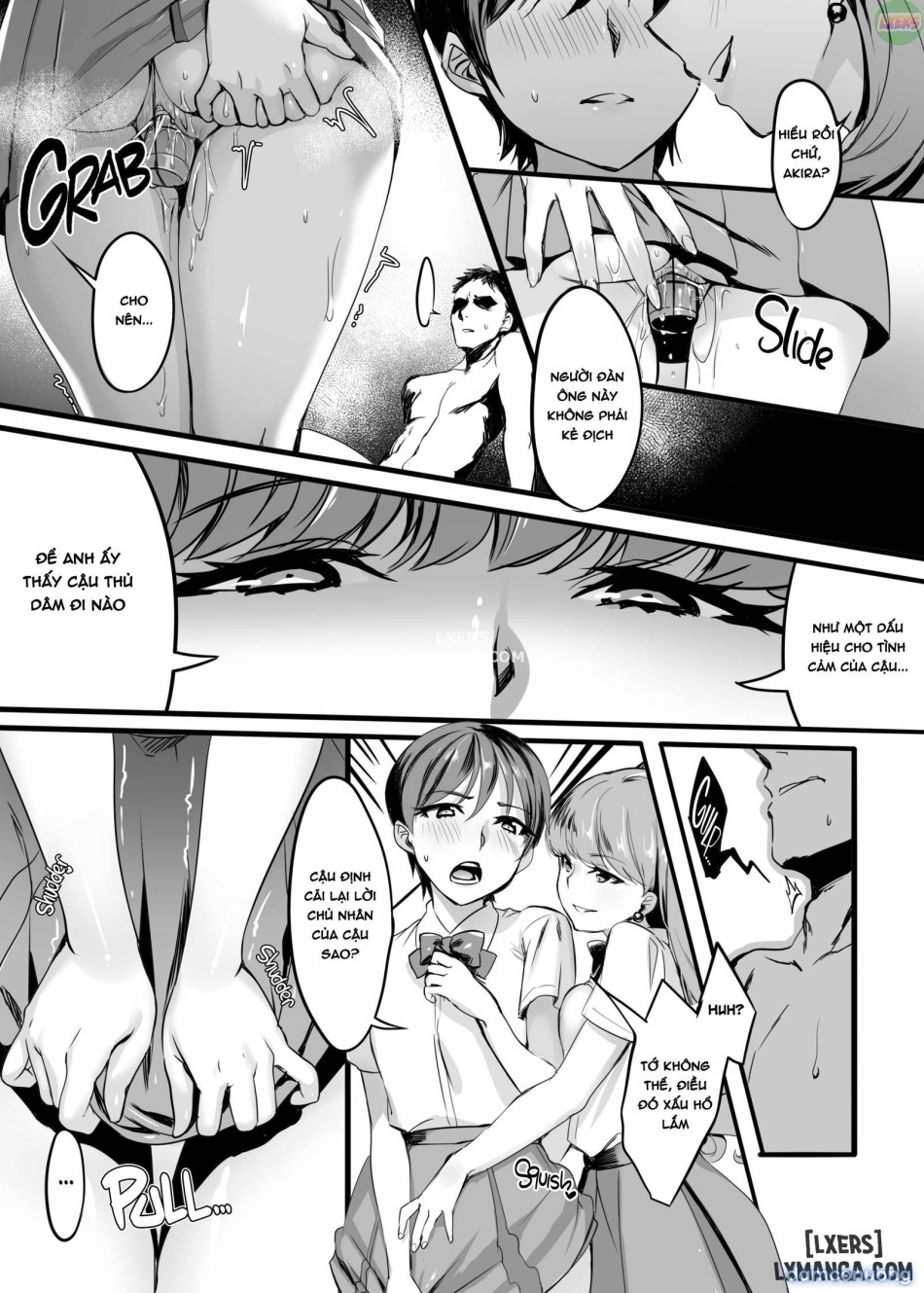 The Cat's Pet 