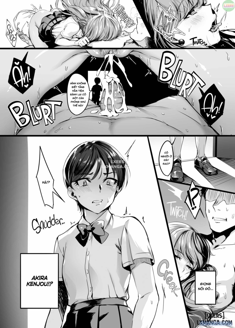 The Cat's Pet 