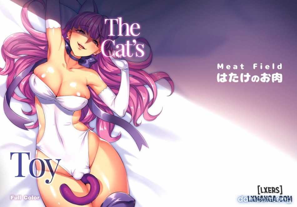 The Cat's Toyy 