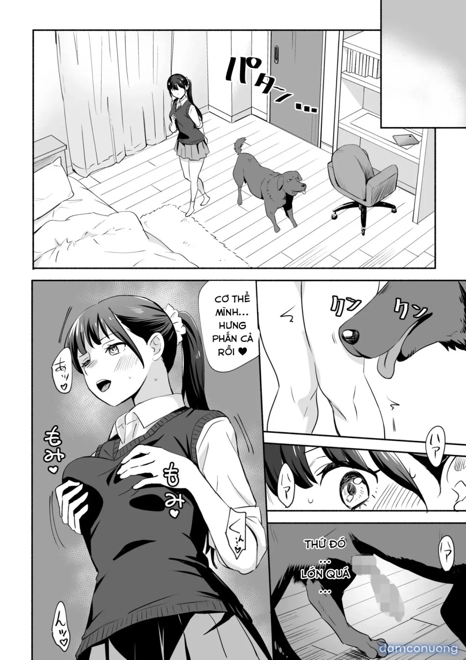 I Got NTR'd By A Dog 