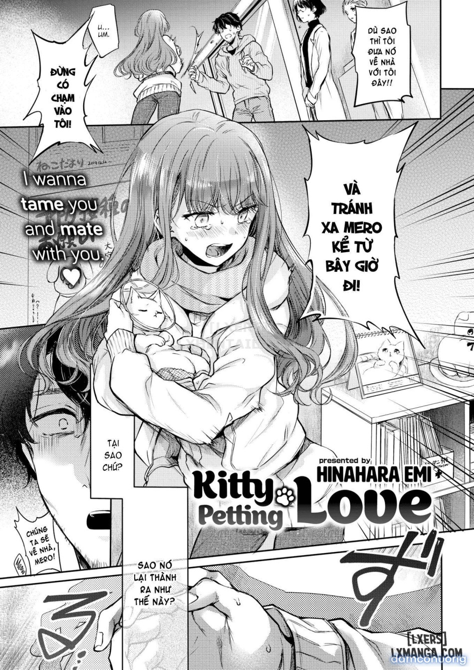 Yumeutsutsu Romanticc 