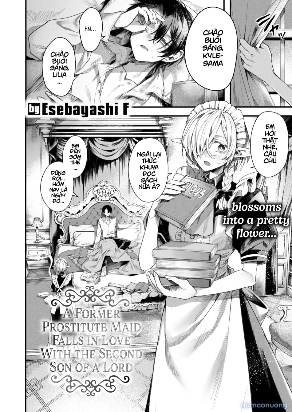 A Former Prostitute Maid Falls in Love With the Second Son of a Lord 