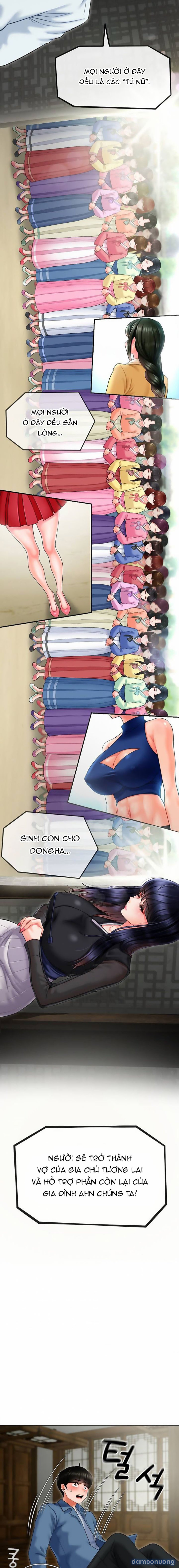 Người Con Thứ 17 