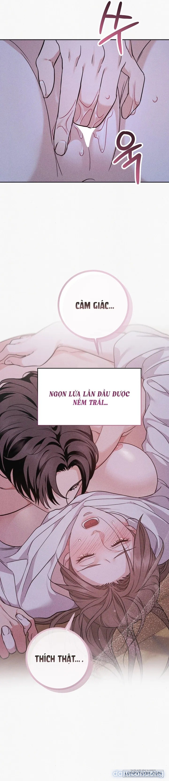 Mối Tình Hoa Violet 