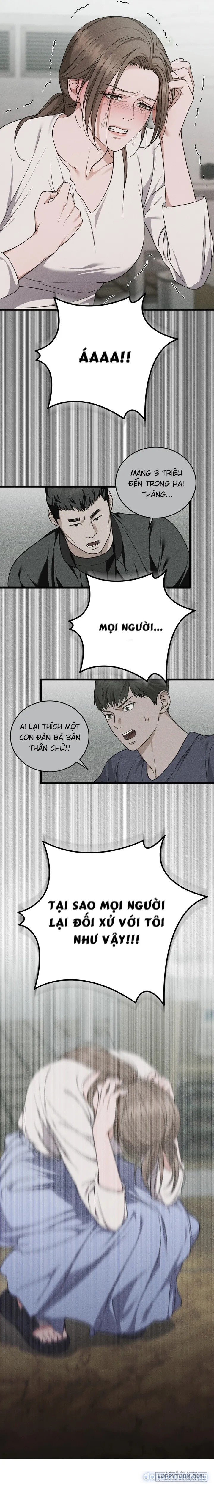 Mối Tình Hoa Violet 