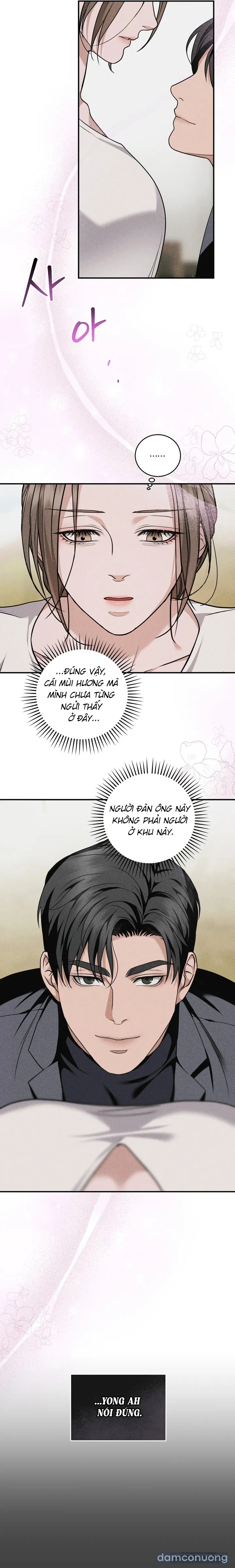 Mối Tình Hoa Violet 