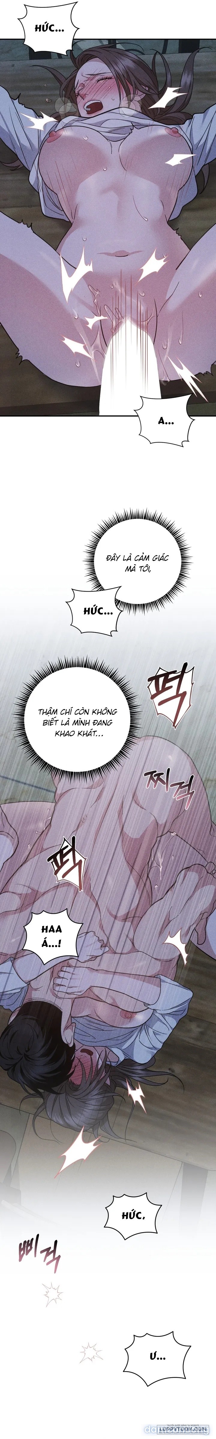 Mối Tình Hoa Violet 