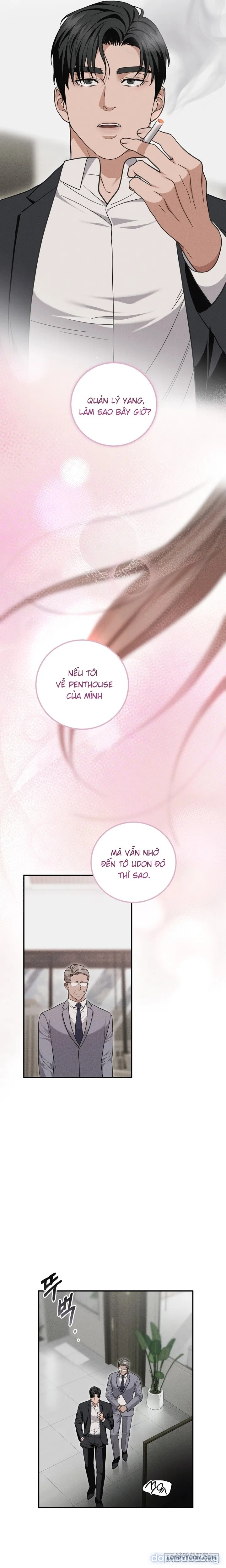 Mối Tình Hoa Violet 
