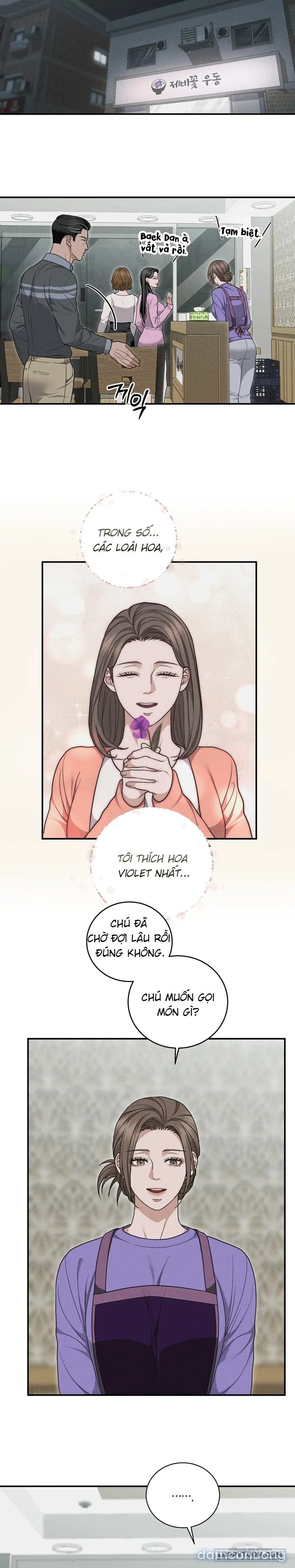 Mối Tình Hoa Violet 