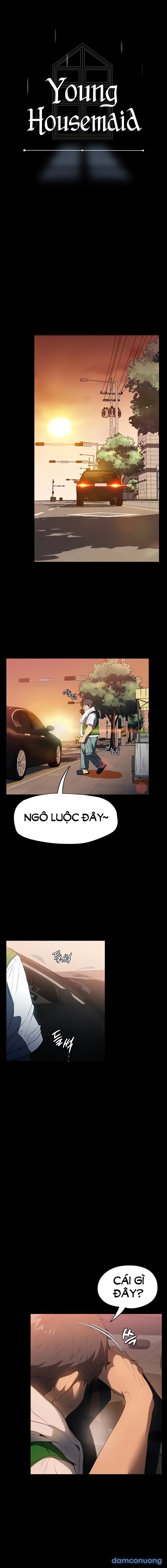 Người Giúp Việc 