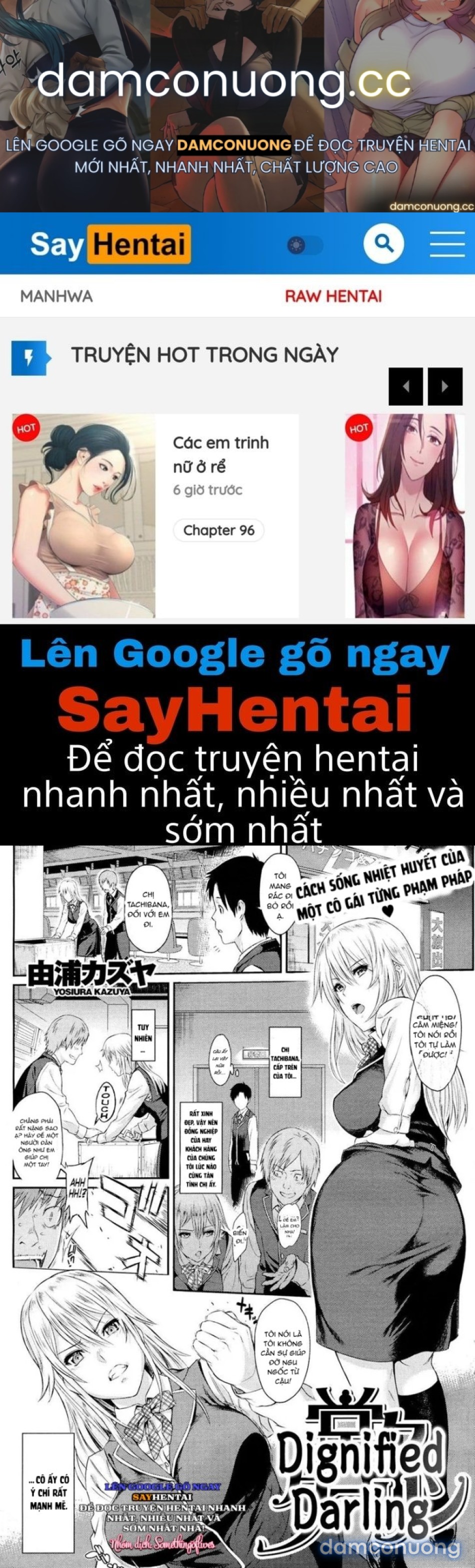 Anh người yêu đứng đắn 