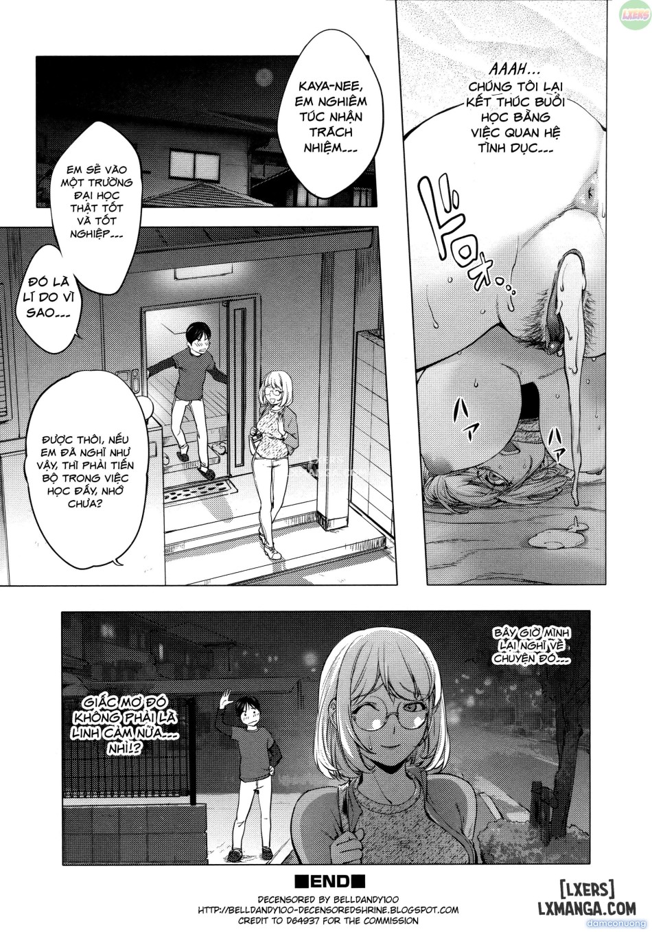KayaNetori Kaya-Nee Series Aizou Bannn 
