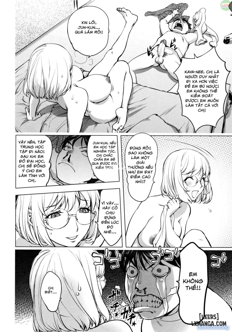 KayaNetori Kaya-Nee Series Aizou Bannn 